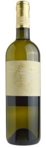 Verdicchio Di Matelica Collestefano 2024 Cl. 75